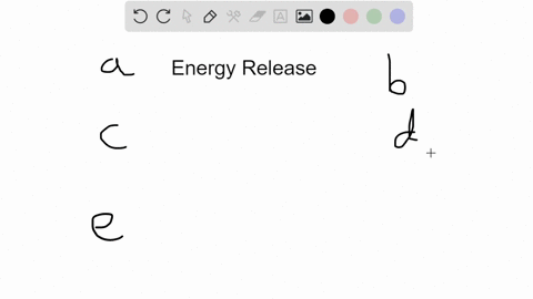 all-of-the-following-are-associated-with-energy-release-except-a-anabolism-b-catabolism-c-citric-aci