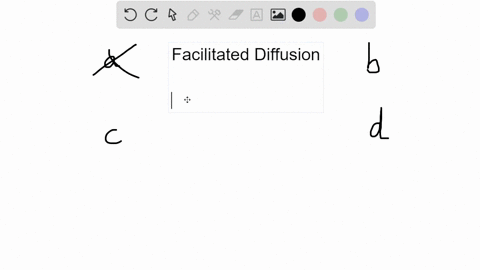 facilitated-diffusion-a-moves-molecules-against-their-concentration-gradients-b-requires-transmembra