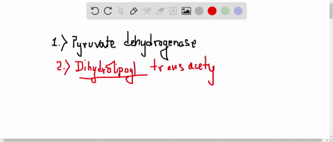 what-are-the-five-enzymes-including-regulatory-enzymes-that-constitute-the-pyruvate-dehydrogenase-co