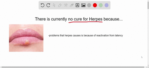 for-which-of-the-following-infections-is-there-currently-no-cure-a-chlamydia-b-gonorrhea-c-syphilis-