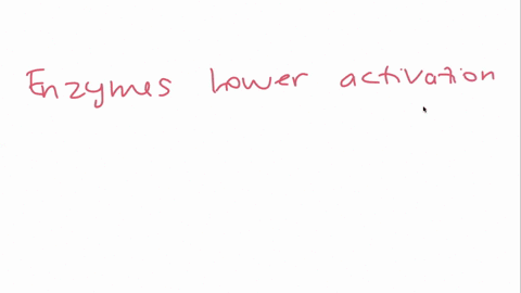 how-does-an-enzyme-change-the-activation-energy-for-a-reaction-in-a-cell