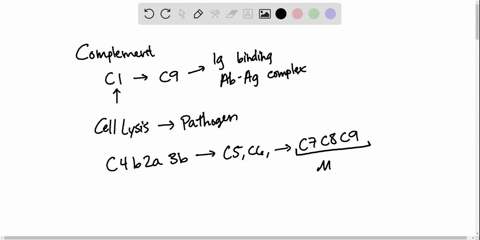 complement-proteins-__________-a-neutralize-toxins-b-enhance-resident-bacteria-c-promote-inflammatio