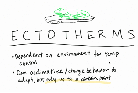how-could-the-increasing-global-temperature-associated-with-climate-change-impact-ectotherms-a-ectot