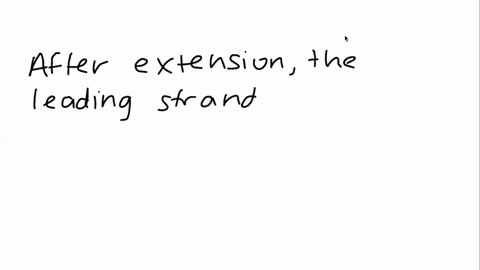 in-dna-replication-what-is-the-difference-between-the-synthesis-of-the-leading-strand-and-the-synthe