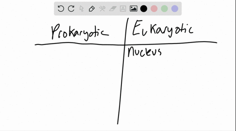 how-do-prokaryotic-cells-differ-from-eukaryotic-cells