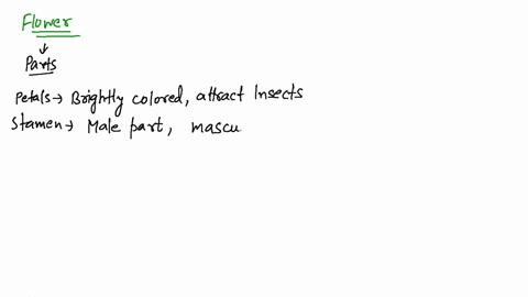 what-are-the-names-and-functions-of-the-structures-in-each-whorl-of-a-flower