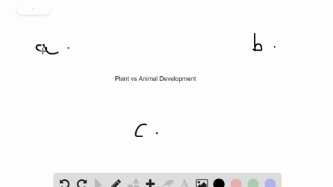 SOLVED:An important difference between plant development and animal development is that . a. only plant development depends on hormones b. plants continue to develop throughout their lifetime c. hormones trigger cell division SOLVED:An important difference between plant development and animal development is that . a. only plant development depends on hormones b. plants continue to develop throughout their lifetime c. hormones trigger cell division