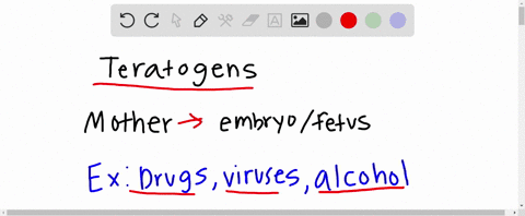 teratogens-are-chemicals-that-pass-through-the-placentas-screen-and-may-harm-an-embryo-or-fetus-whic