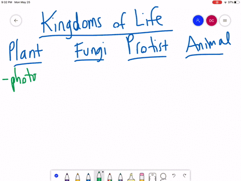the-kingdom-that-contains-humans-is-the-kingdom-a-animalia-c-plantae-b-fungi-d-protista