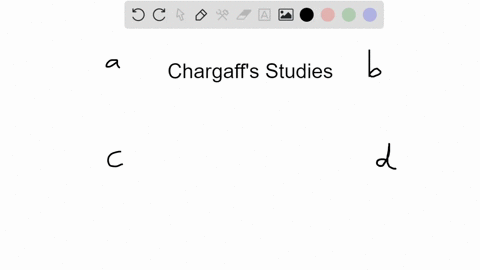 chargaff-studied-the-composition-of-dna-from-different-sources-and-found-that-a-the-number-of-phos-3