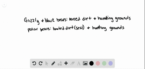 grizzly-bears-and-black-bears-have-a-varied-diet-and-hunting-grounds-on-the-other-hand-polar-bears-f