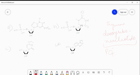 identify-structure-of-thymine-deoxyribo-nucleotide