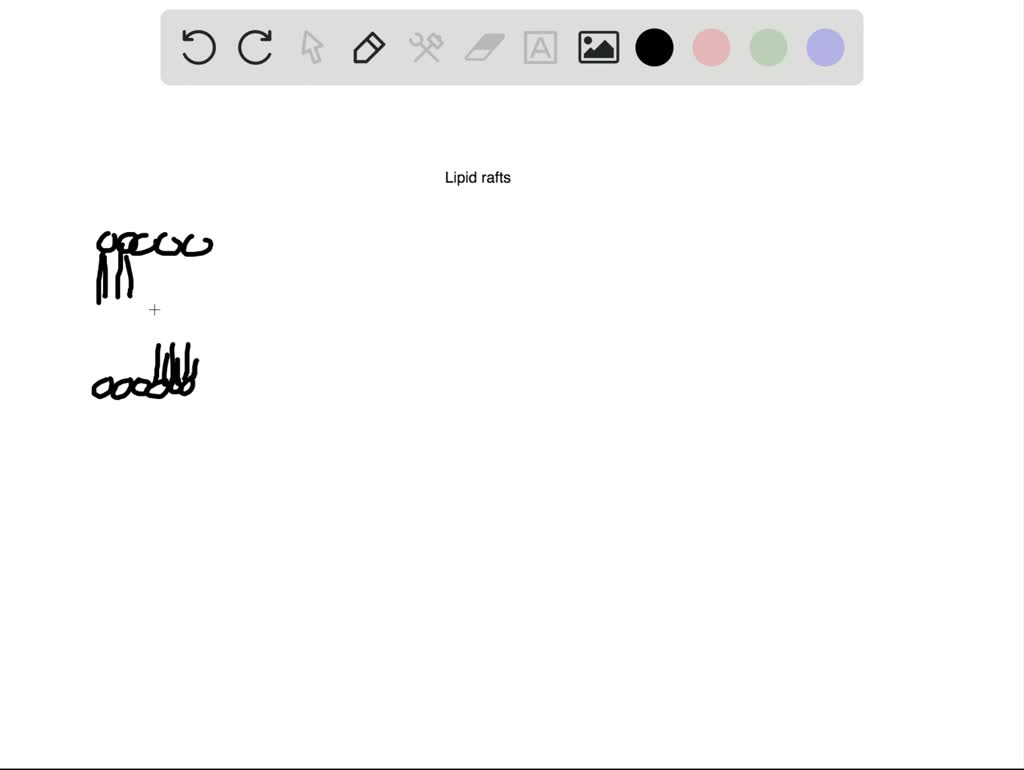 SOLVEDFollowing the production of membrane extracts using the non