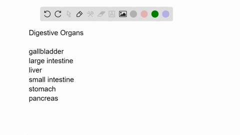 match-each-organ-with-a-digestive-function-________gallbladder-________large-________intestine-_____