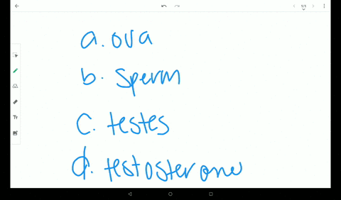 what-are-male-gametes-called-a-ova-b-sperm-c-testes-d-testosterone