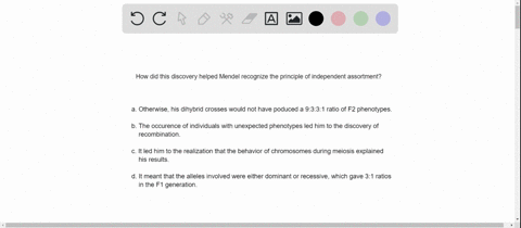 the-genes-for-the-traits-that-mendel-worked-with-are-either-all-located-on-different-chromosomes-or-