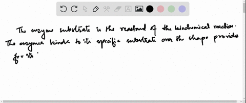 what-is-an-enzyme-substrate