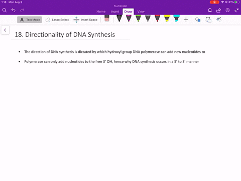 explain-on-the-basis-of-nucleotide-structure-why-dna-synthesis-proceeds-in-the-5prime-to-3prime-dire
