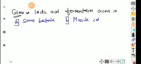 lactic-acid-fermentation-occurs-in-a-some-bacteria-b-muscle-cell-under-anaerobic-condition-c-both-a-