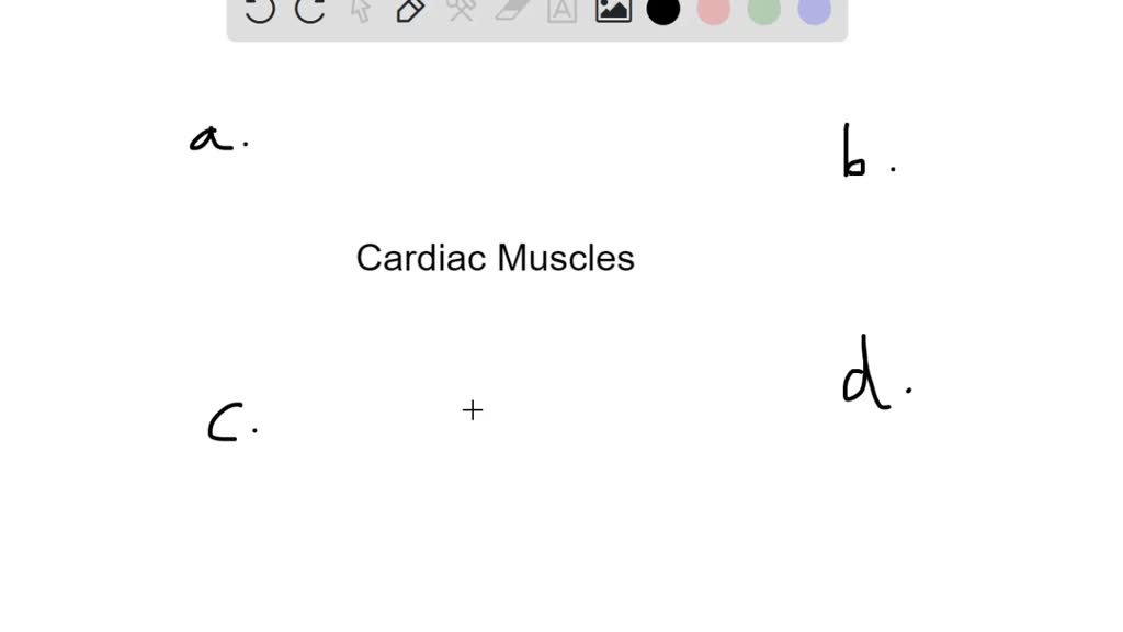 SOLVED:If cardiac muscle cells were prevented from undergoing aerobic