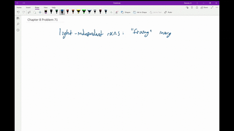 is-life-dependent-on-the-carbon-fixation-that-occurs-during-the-light-independent-reactions-of-photo
