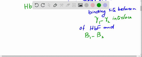 a-what-is-the-difference-in-the-quaternary-structure-between-fetal-hemoglobin-and-adult-hemoglobin-2