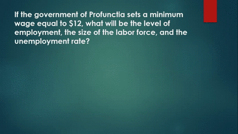 there-is-only-one-labor-market-in-profunctia-all-workers-have-the-same-skills-and-all-firms-hire-w-3