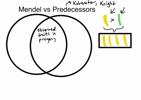 what-property-distinguished-mendels-investigation-from-previous-studies-a-mendel-used-true-breeding-