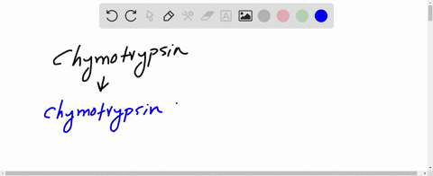 the-enzyme-chymotrypsin-catalyzes-the-following-type-of-reaction-on-the-basis-of-the-classificatio-2