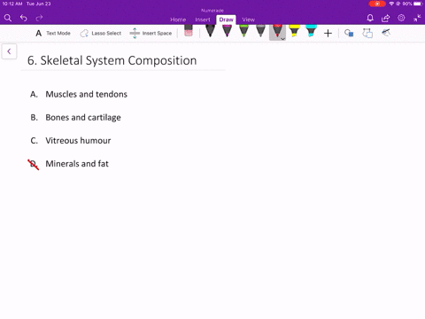 the-skeletal-system-is-made-of-________-a-muscles-and-tendons-b-bones-and-cartilage-c-vitreous-humor