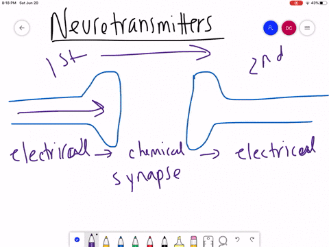 watch-this-video-httpopenstaxcollegeorgi-neurotrans-to-learn-about-the-release-of-a-neurotransmitter