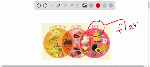 our-best-source-of-energy-is-______-a-vitamins-c-lipids-b-carbohydrates-d-amino-acids