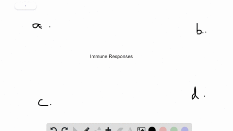 _______________-trigger-immune-responses-a-cytokines-b-antibodies-c-antigens-d-histamines