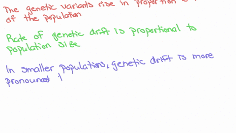 how-does-population-size-affect-the-likelihood-of-changes-in-allele-frequencies-by-chance-alone-can-