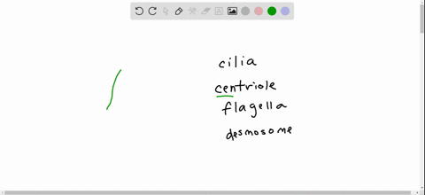which-of-the-following-is-not-composed-of-microtubules-a-desmosomes-b-centrioles-c-eukaryotic-flagel