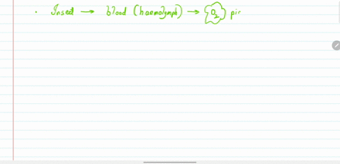 which-one-of-the-foliowing-statements-is-incorrect-a-the-principle-of-countercurrent-flow-facilitate