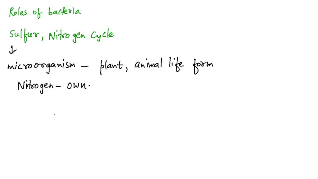 solved-which-bacteria-and-archaea-play-a-major-role-in-acid-mine