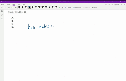 the-hair-matrix-contains-_______-a-the-hair-follicle-b-the-hair-shaft-c-the-glassy-membrane-d-a-laye