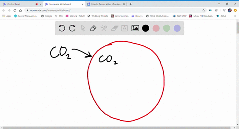 carbonic-anhydrase-in-red-blood-cells-catalyzes-formation-of-bicarbonate-from-water-and-______-a-oxy