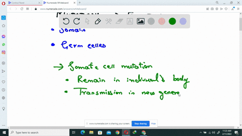 mutations-in-which-types-of-cell-are-most-likely-to-contribute-to-evolutionary-change-in-a-populat-2