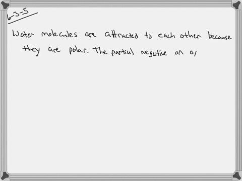 give-one-reason-why-water-molecules-are-attracted-to-each-other