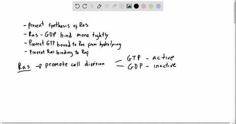 the-relay-protein-ras-is-part-of-the-egf-pathway-that-promotes-cell-division-see-figure-910-the-ac-2