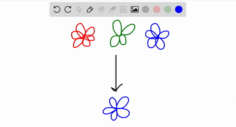 explain-how-biodiversity-loss-can-impact-crop-diversity-2