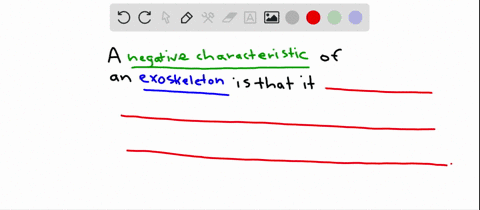 a-disadvantage-of-an-exoskeleton-is-that-it-a-cannot-protect-an-animals-internal-organs-b-must-be-pe