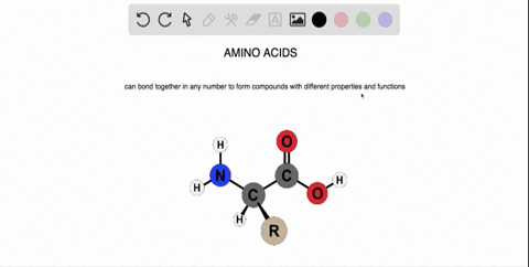 truefalse-a-change-in-one-amino-acid-in-a-protein-sequence-always-results-in-a-loss-of-function