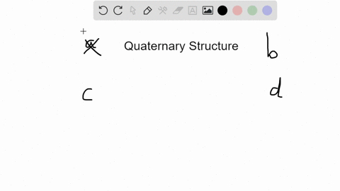 the-quaternary-structure-of-a-protein-is-the-a-first-four-amino-acids-at-the-amino-terminus-b-organi