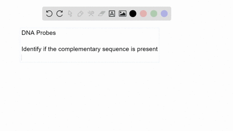 short-answer-why-is-it-important-that-a-dna-probe-be-labeled-with-a-molecular-beacon