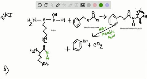 the-synthesis-of-a-polypeptide-containing-lysine-requires-the-protection-of-both-amino-groups-a-show