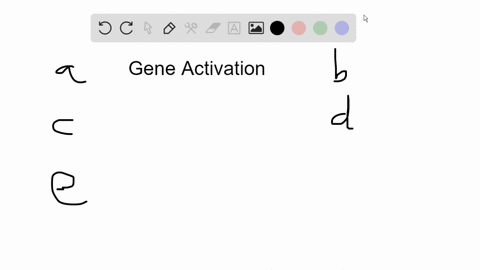 activation-of-a-eukaryotic-gene-typically-involves-a-release-of-transcription-factors-from-the-genes