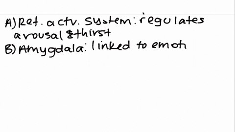 which-of-the-following-brain-areas-is-responsible-for-regulating-thirst-a-reticular-activating-syste
